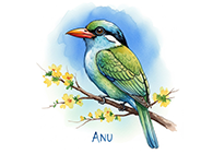 Anu