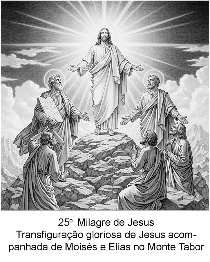 Imagem 25 Ampliada