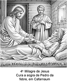 Imagem 4