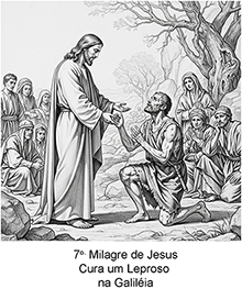 Imagem 7