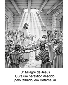 Imagem 8