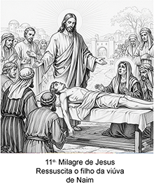 Imagem 11
