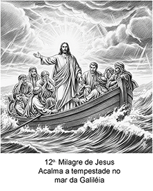 Imagem 12
