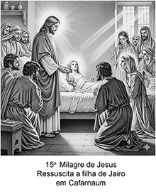 Imagem 15 Ampliada