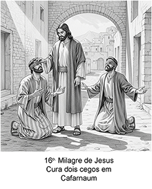 Imagem 16 Ampliada