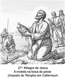 Imagem 27 pequena