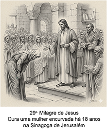 imagem 29 pequena