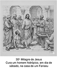 Imagem 30 pequena
