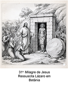 Imagem 31 pequena