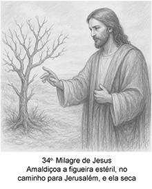 Imagem 34 pequena