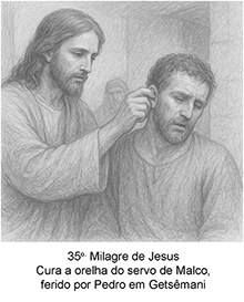 Imagem 35 pequena